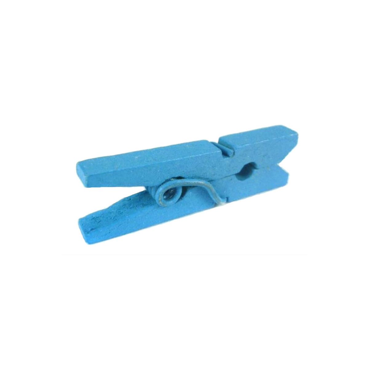 Pince décorative bleue