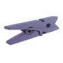 Petites pinces lilas