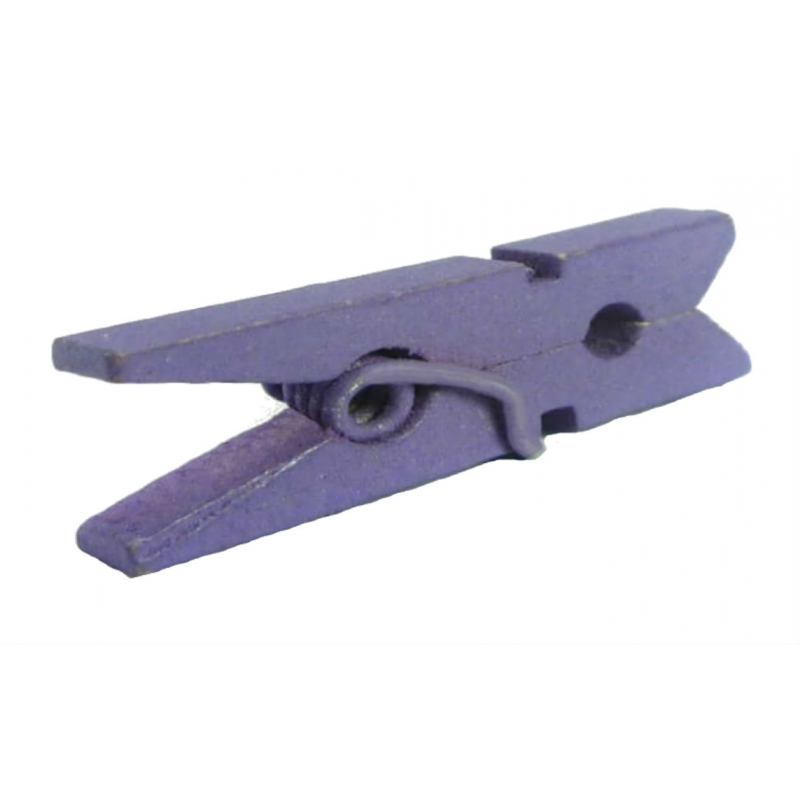 Petites pinces lilas