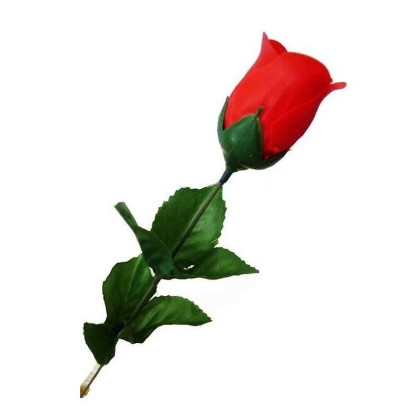 Rose en Savon Rose en Savon