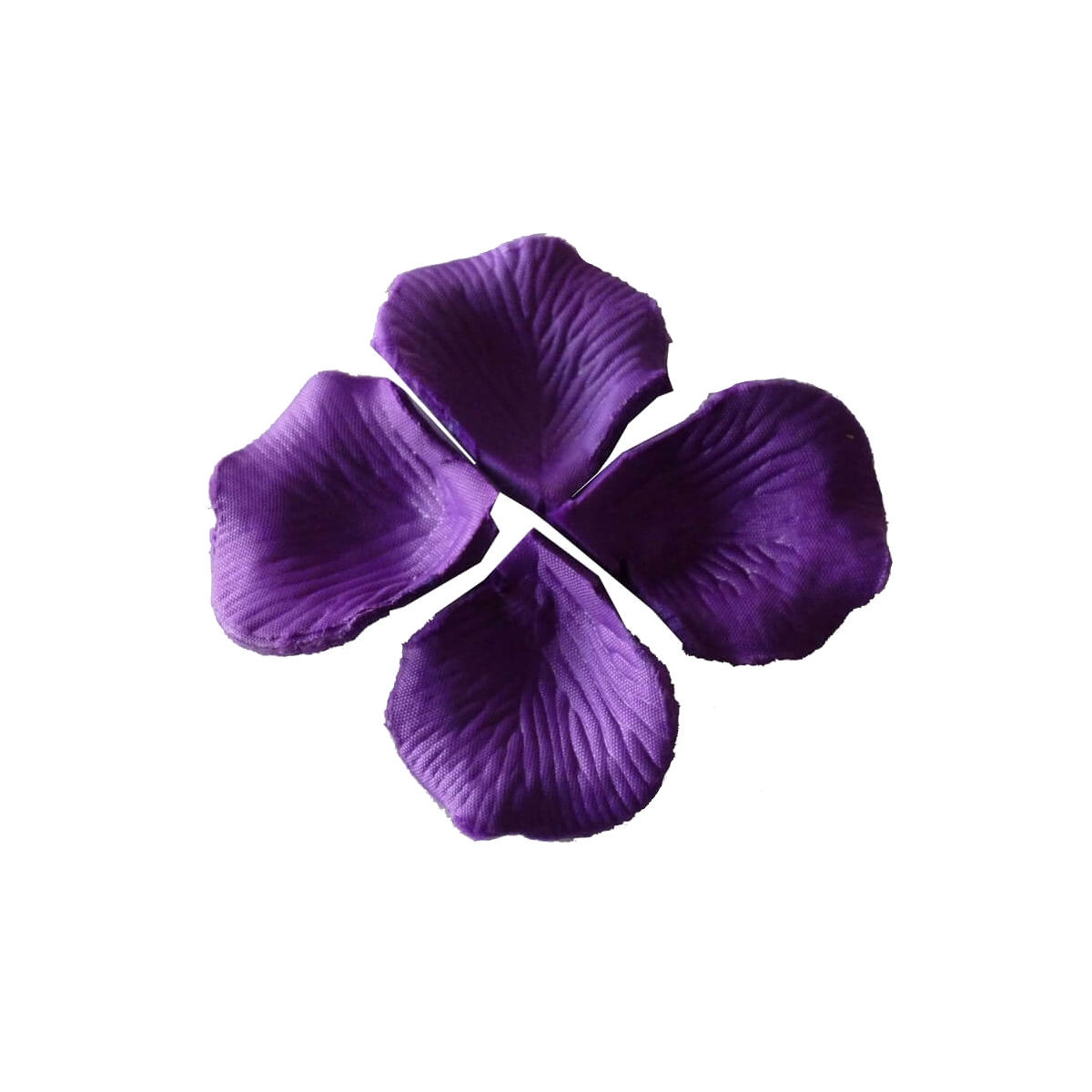 Pétales de couleur violet foncé