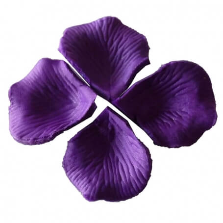 Pétales de couleur violet foncé