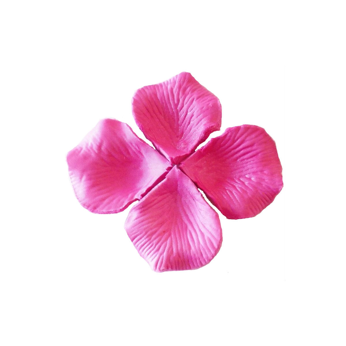 Pétales de couleur magenta