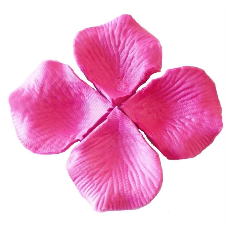 Pétales de couleur magenta