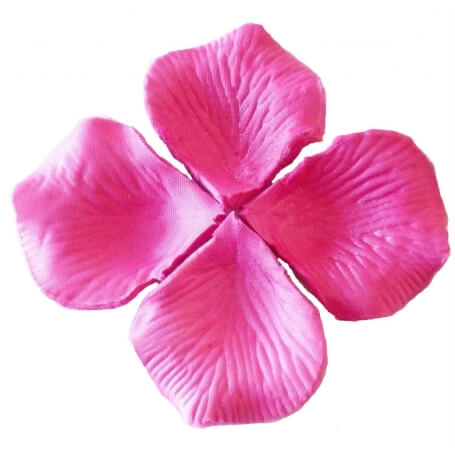 Pétales de couleur magenta
