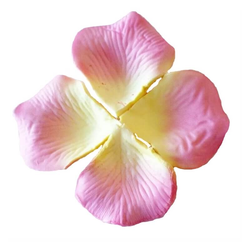 Pétales rose clair