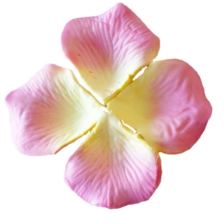 Petales De Fleurs Roses Pour Mariage