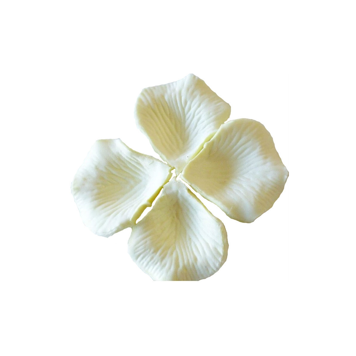 Pétales de couleur beige
