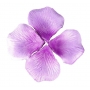 Pétales de rose artificiels lilas