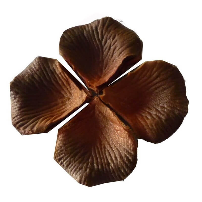 Pétales couleur marron