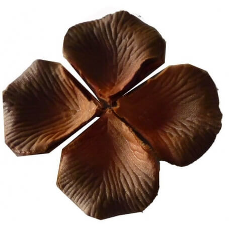 Pétales couleur marron
