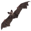 Chauve-souris suspendue 65 x 24 x 6 cm