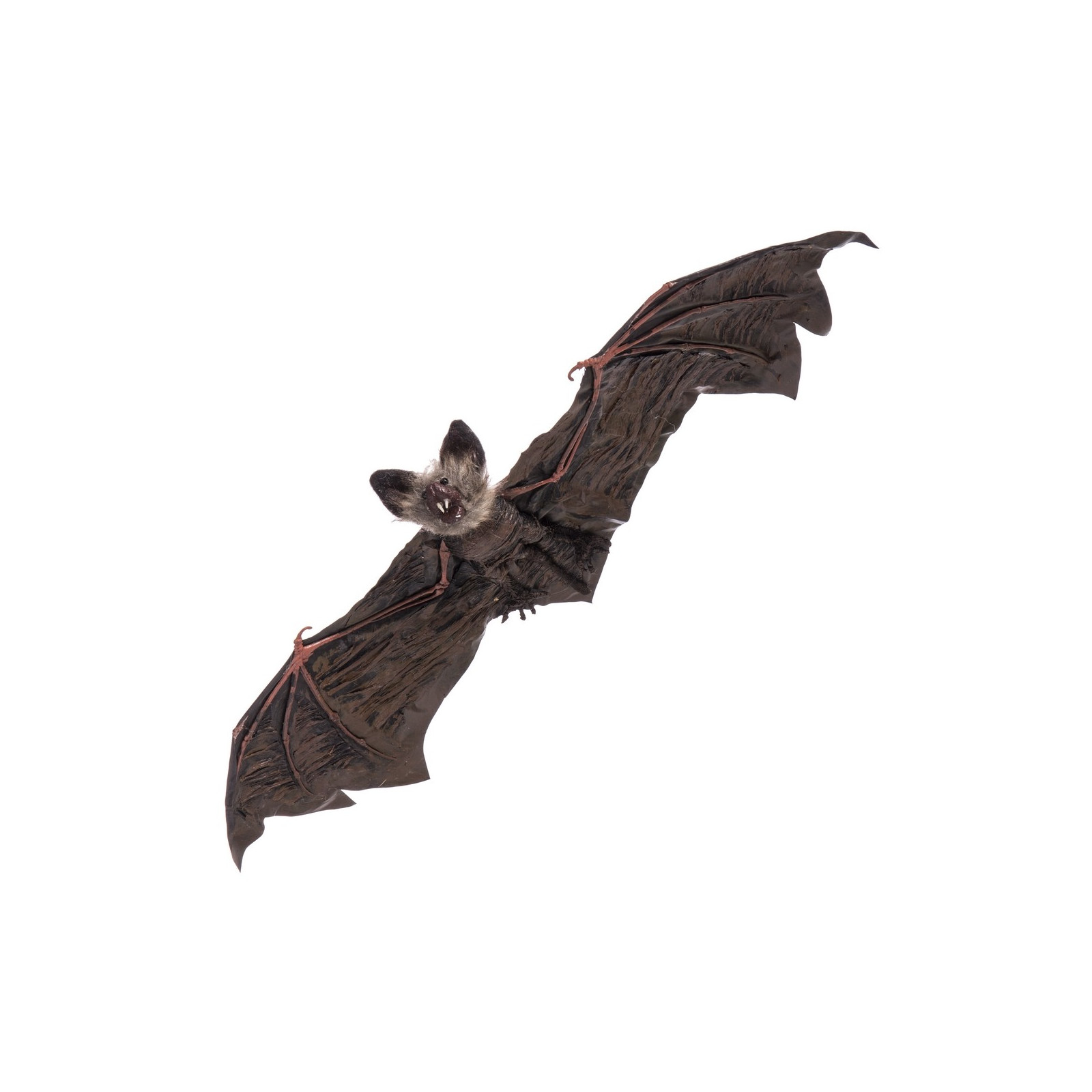 Chauve-souris suspendue 65 x 24 x 6 cm