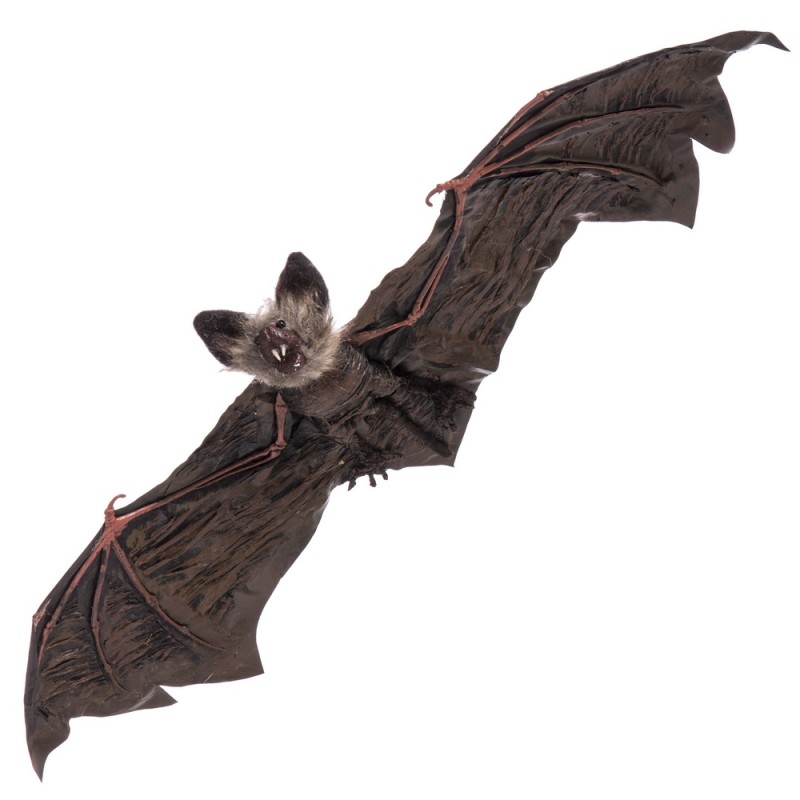 Chauve-souris suspendue 65 x 24 x 6 cm