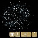 300 lumières LED 8 fonctions blanches