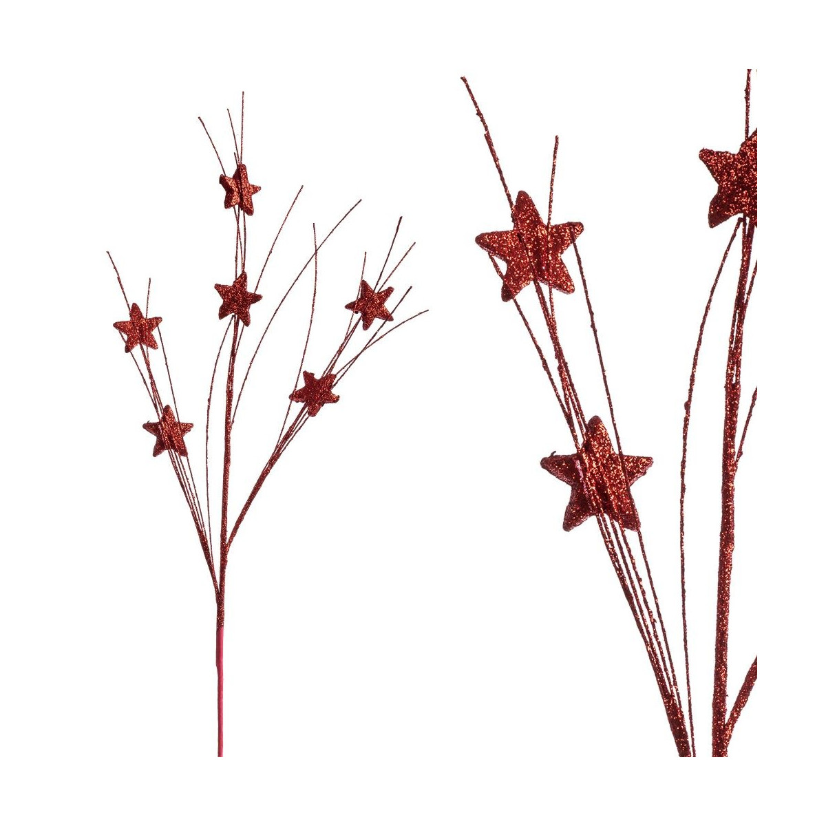 Branche étoile rouge