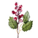 Cueillette de houx à feuilles rouges 16 cm
