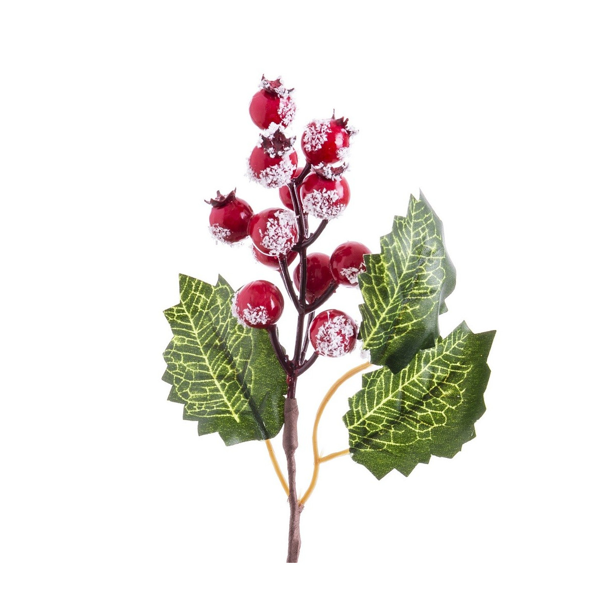 Cueillette de houx à feuilles rouges 16 cm