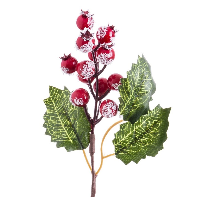 Cueillette de houx à feuilles rouges 16 cm