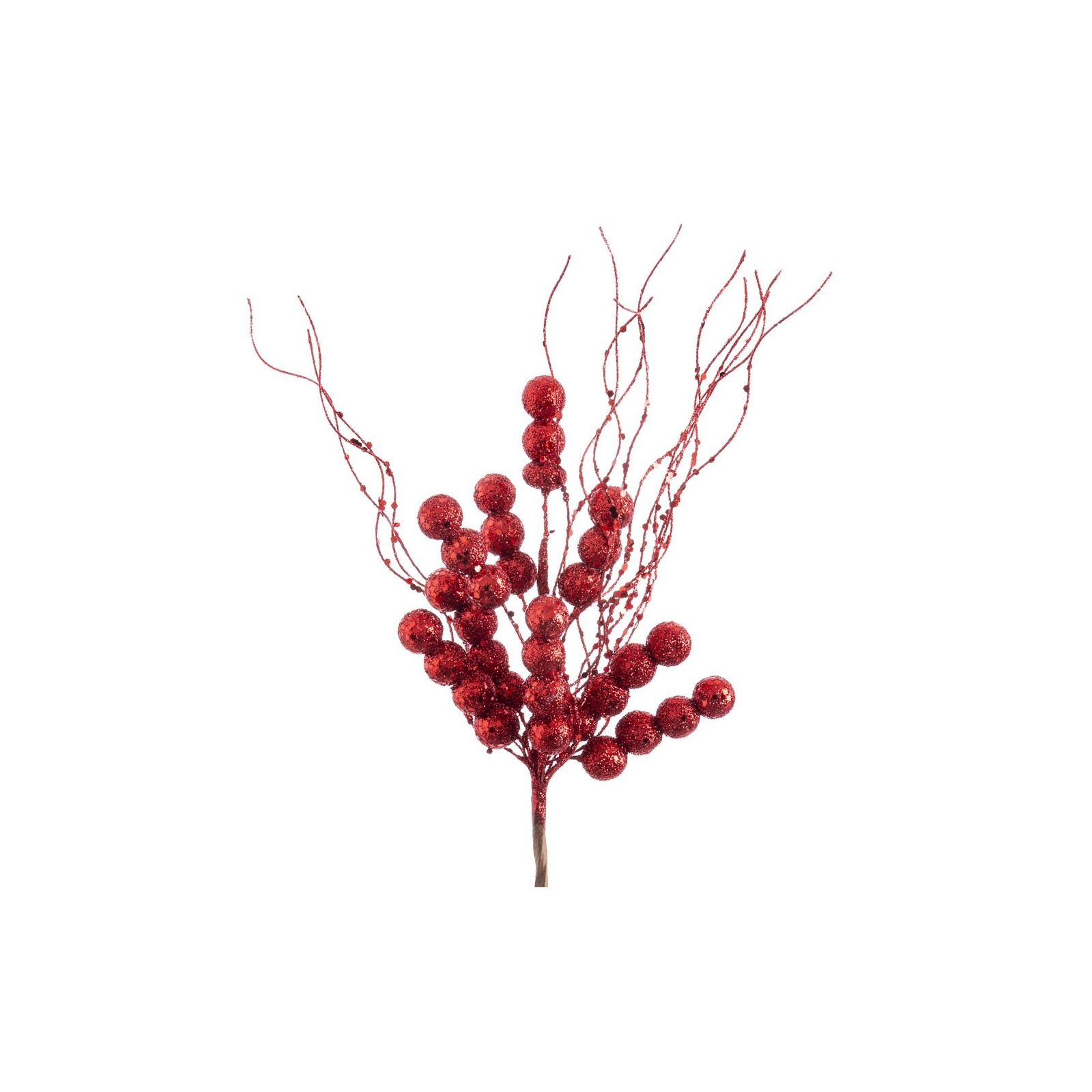 Choisissez houx rouge 26 cm