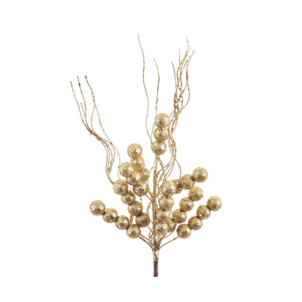 Choisissez houx or 26 cm
