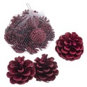 Sachet 200 gr gros ananas rouges