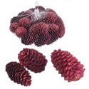Sachet 200 gr ananas rouge moyen