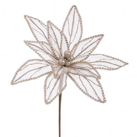 Tissu fleur poinsettia champagne 25 x 65 cm