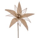 Fleur poinsettia tissu champagne 30 x 65 cm