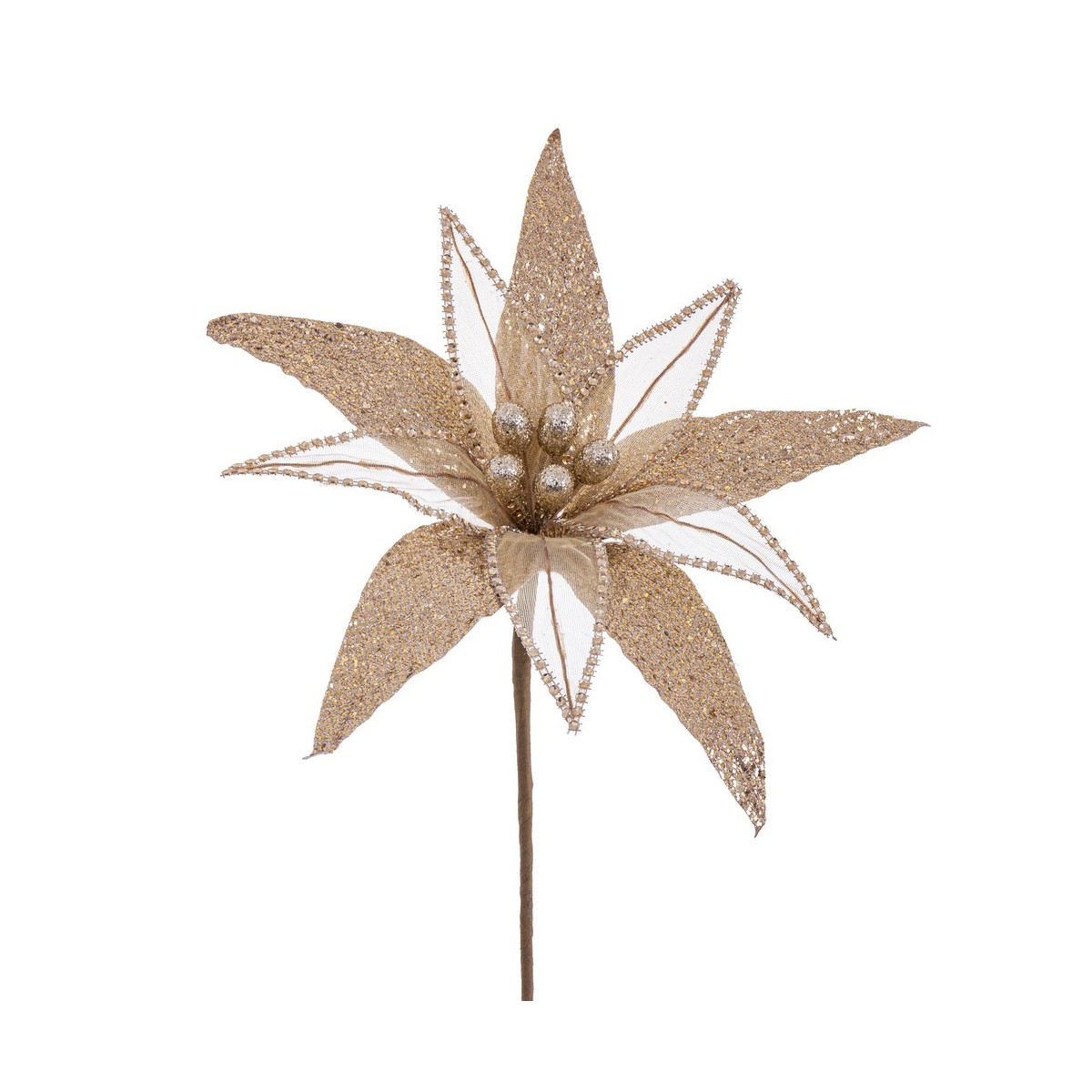 Fleur poinsettia tissu champagne 30 x 65 cm