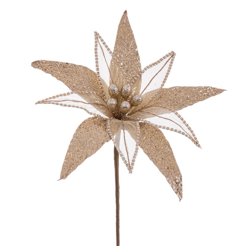 Fleur poinsettia tissu champagne 30 x 65 cm