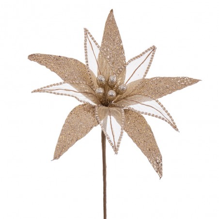 Tissu fleur poinsettia champagne 30 x 65 cm