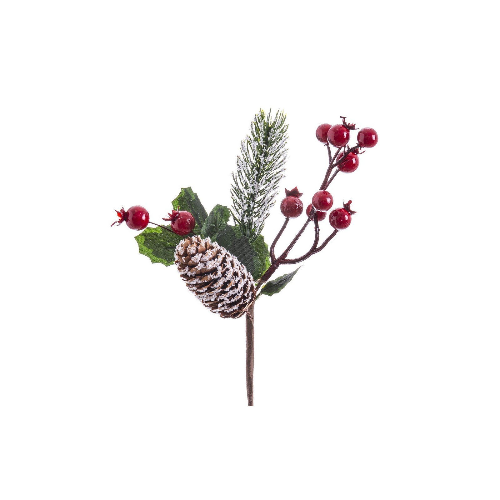 Choisir houx rouge 23 cm