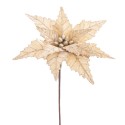 Fleur poinsettia tissu champagne 35 x 58 cm