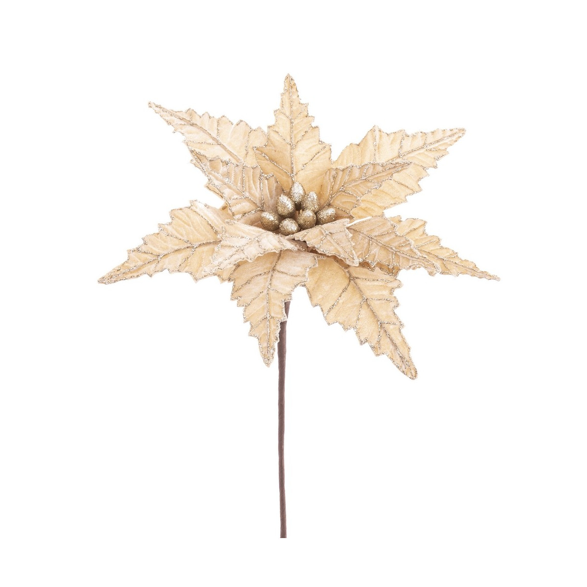 Fleur poinsettia tissu champagne 35 x 58 cm