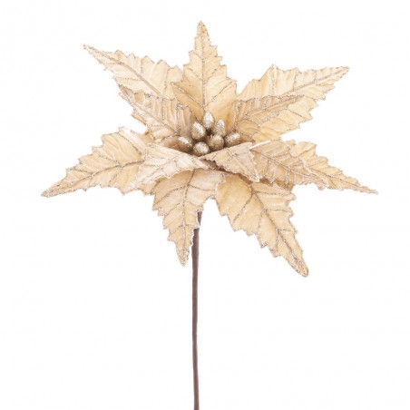Tissu fleur poinsettia champagne 35 x 58 cm