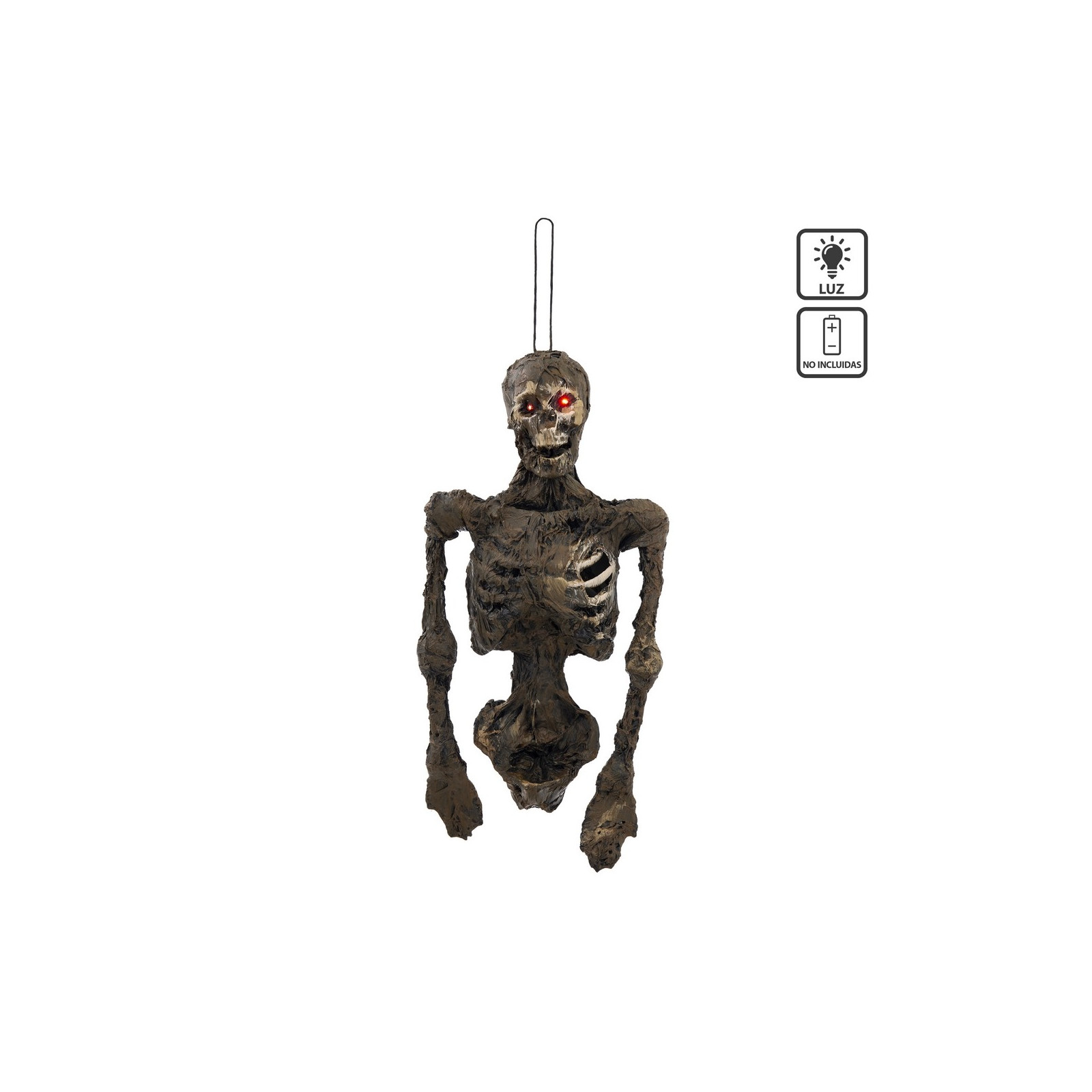 Squelette pourri 28 x 13 x 55 cm