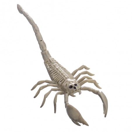 Scorpion En Os Plastique 13 X 27 X 7 Cm