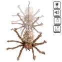 Araignée à poil brun noir 60 x 45 x 10 cm