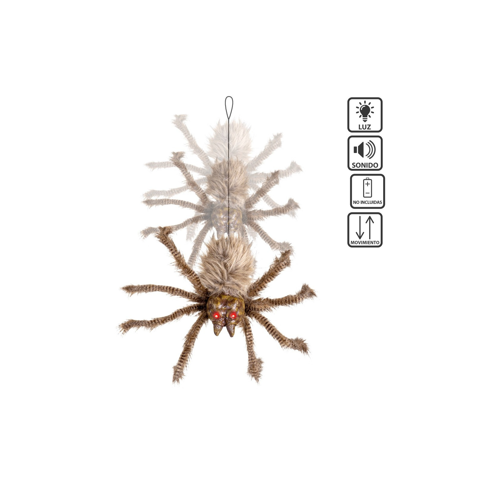 Araignée à poil brun noir 60 x 45 x 10 cm