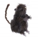 Rat brun 7 x 9 x 15 cm