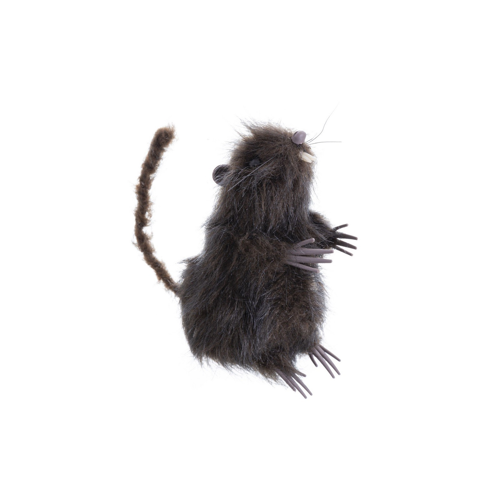 Rat brun 7 x 9 x 15 cm