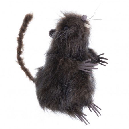 Rat Brun 7 X 9 X 15 Cm