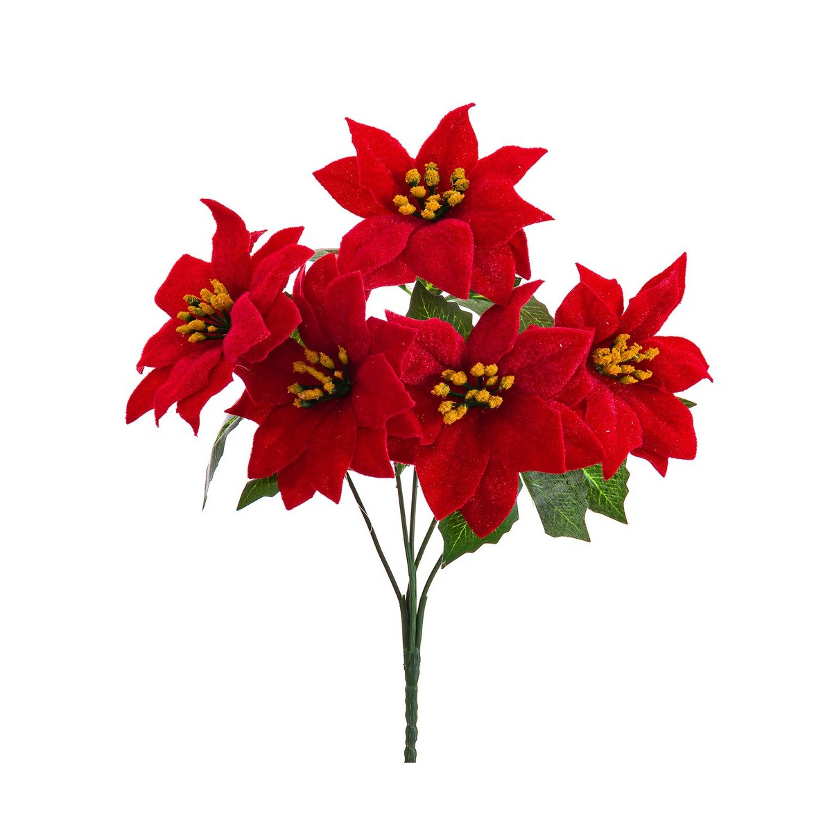Rame 5 poinsettia 30 cm