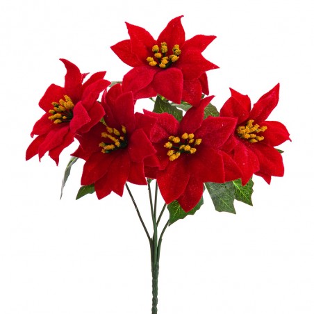 Rame 5 poinsettia 30 cm