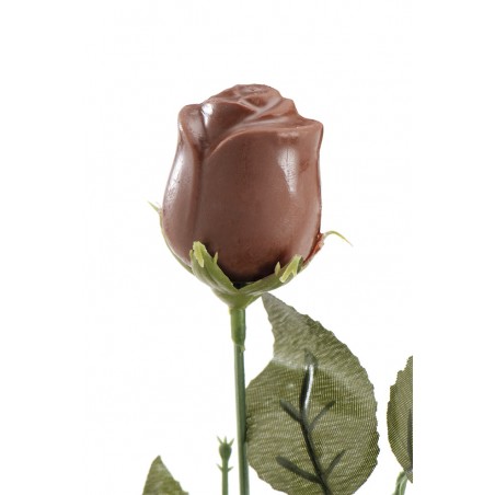 Roses au chocolat 20 grs