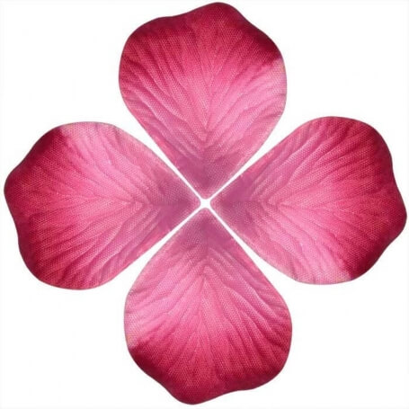 Sacs de pétales de rose
