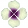 Pétales de rose artificiels blancs et violets pour la décoration d'événements