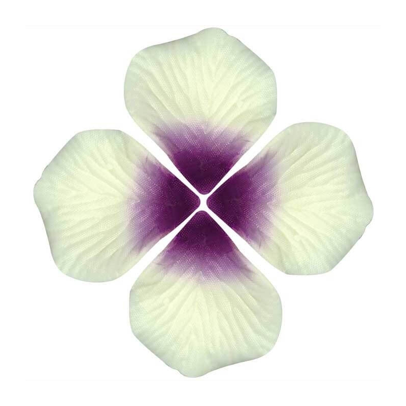 Pétales de rose artificiels blancs et violets pour la décoration d'événements
