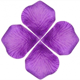 Petales de Roses Violet